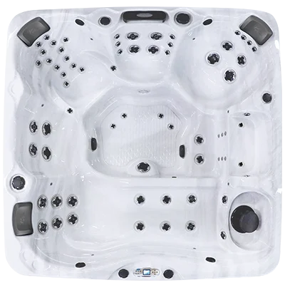 Avalon EC-867L hot tubs for sale in Great Falls